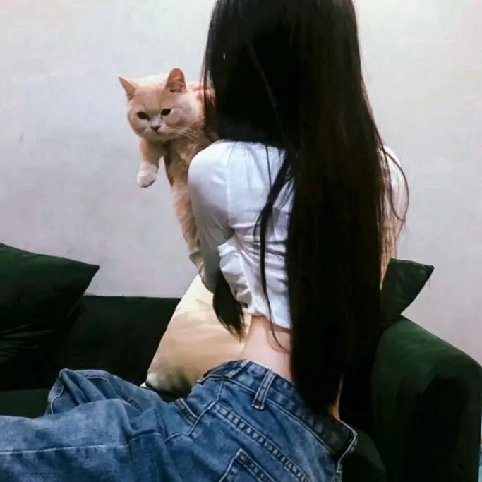 惊天侠盗团 在线观看